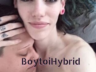 BoytoiHybrid