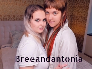 Breeandantonia