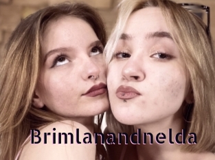 Brimlanandnelda