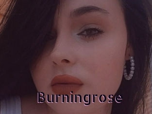 Burningrose