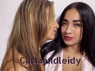 Carlaandleidy