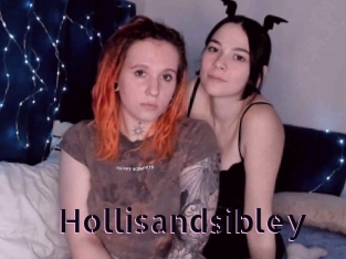 Hollisandsibley