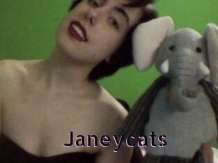 Janeycats