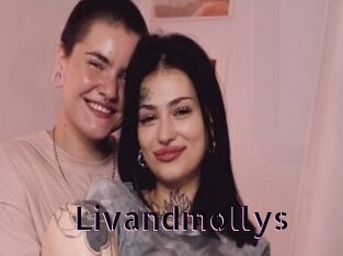 Livandmollys