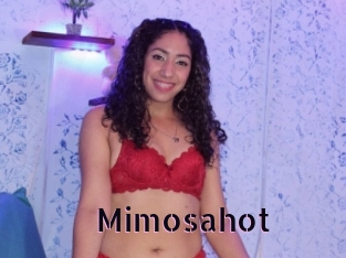 Mimosahot