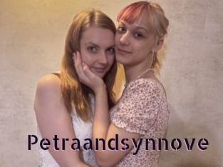 Petraandsynnove