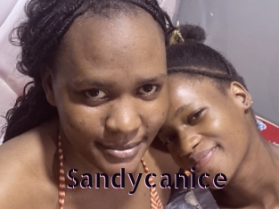 Sandycanice