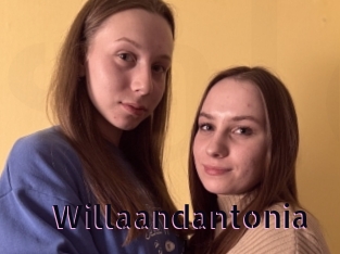 Willaandantonia